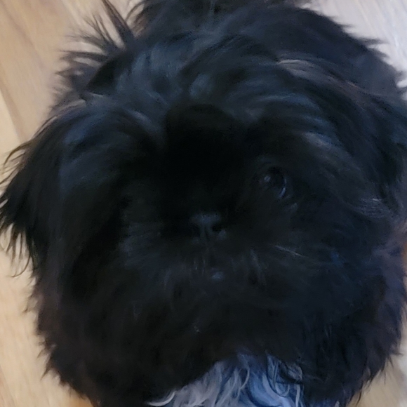 ๐Toys!  Need more toys!๐๐๐๐ - Picture 4 of 6